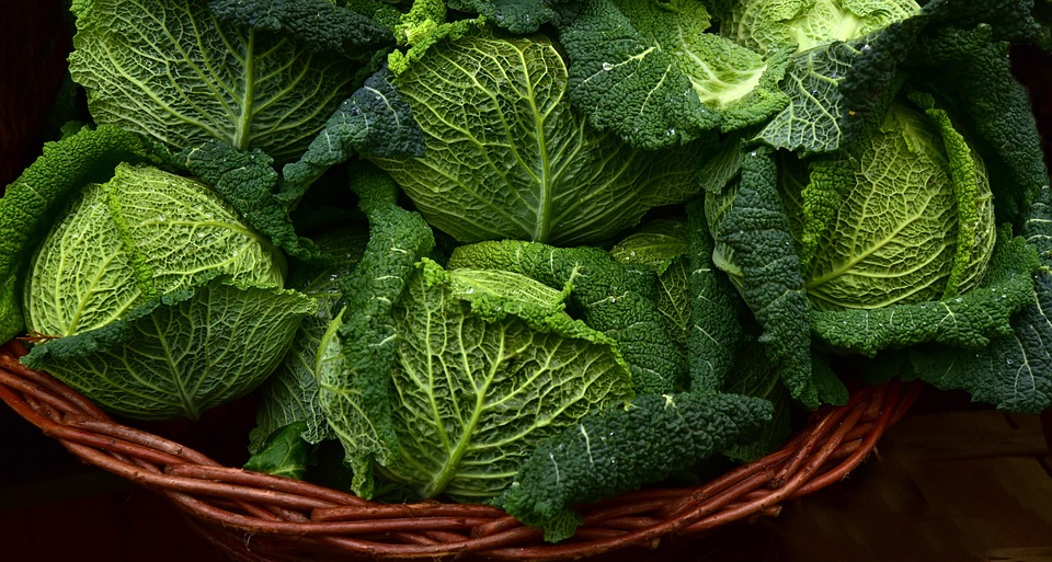 eat leafy green food to stay young