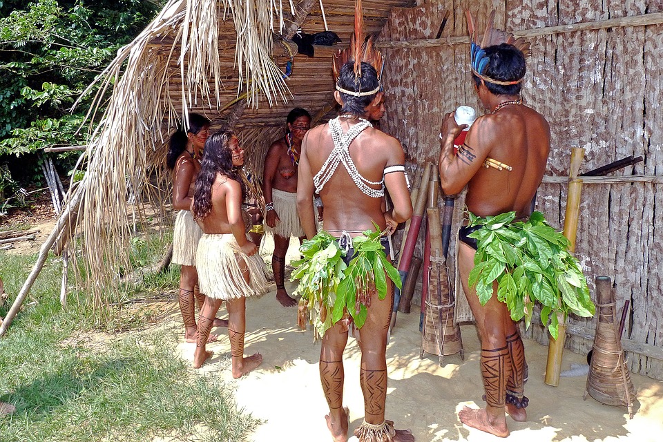 Indigenous Communities in Brazil